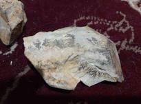 دو عدد سنگ شجر راف طبیعی بسیار زیبا در شیپور-عکس کوچک