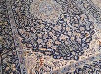 فرش دستبافت در شیپور-عکس کوچک