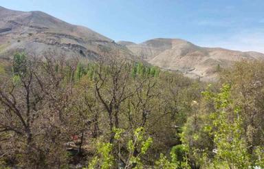 فروش زمین کشاورزی 40000 متر در کردان