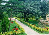 ویلا باغ 500 متری سند تک برگ شهرکی جنگلی سر سبز  در شیپور-عکس کوچک