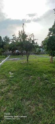 فروش زمین به صورت نقدواقساط 153 متر در گروه خرید و فروش املاک در مازندران در شیپور-عکس1