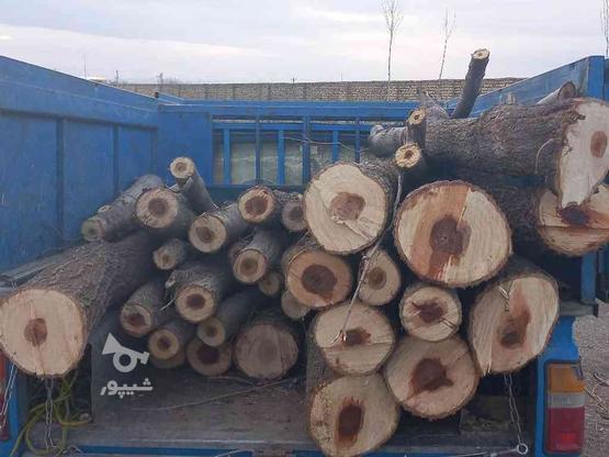 خرید چوب صنوبر و تیر سقفی سالم و ضایعات با تشکر در گروه خرید و فروش خدمات و کسب و کار در مرکزی در شیپور-عکس1