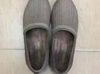کفش اسکچرز اصل در شیپور-عکس کوچک