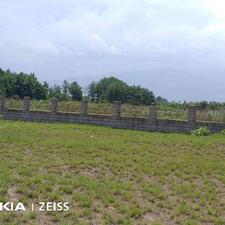 فروش زمین توریستی 5 هکتاری پلاک اول ساحلی