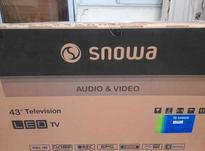 تلویزیون 43 اینچ اسنوا سالم در شیپور-عکس کوچک