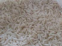 فروش برنج اصلاح شده هاشمی آستانه اشرفیه در شیپور-عکس کوچک