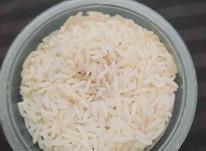 برنج طارم دمسیاه در شیپور-عکس کوچک