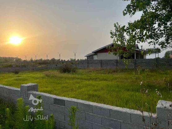 فروش زمین مسکونی 300 متر در  چاف در گروه خرید و فروش املاک در گیلان در شیپور-عکس1