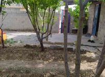 فروش باغچه نقلی 200 متر در نظرآباد در شیپور-عکس کوچک