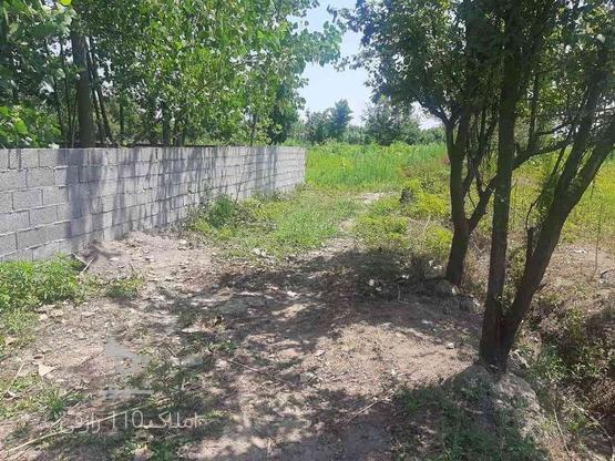 800 متر زمین باغ و مسکونی در لولمان رشت در گروه خرید و فروش املاک در گیلان در شیپور-عکس1