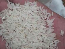 برنج طارم روشن در شیپور