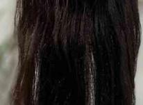 پستیژ بلند موی 100%طبیعی در شیپور-عکس کوچک