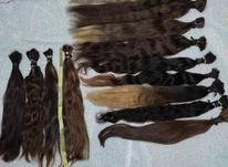 اصلی ترین خریدار موهای خام و رنگی بانوان در شیپور-عکس کوچک