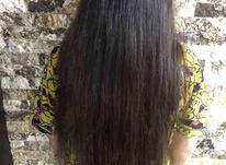 موهای طبیعی رنگ طبیعی و سالم در شیپور-عکس کوچک