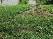 فروش زمین کاربری باغات ، 300 متر ، بلوار عباس مفرد در شیپور-عکس کوچک