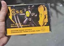 لنت GSS قیمت عمده در شیپور-عکس کوچک