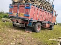 خرید چوب و قطع انواع درخت در شیپور-عکس کوچک