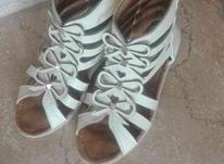 تعدادی کفش دخترانه سایز 36 در شیپور-عکس کوچک