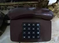 فروش تلفن رومیزی دکمه ای سالم در شیپور-عکس کوچک
