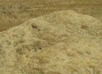 کاه گندم باچک در شیپور-عکس کوچک