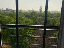 1107 متر باغ انار با امکانات در شیپور