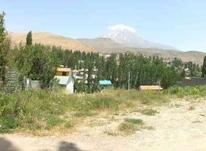 فروش زمین مسکونی 720 متر در لاریجان در شیپور-عکس کوچک