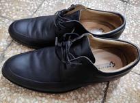 کفش مردانه شیبرو مجلسی سایز 446 کفش ملی در شیپور-عکس کوچک