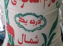 برنج ایرانی بشرط در شیپور-عکس کوچک