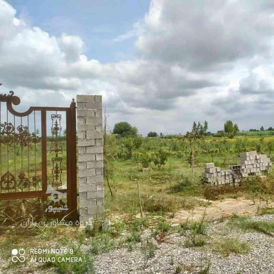 فروش زمین مسکونی 200 متر در خانه دریا در گروه خرید و فروش املاک در مازندران در شیپور-عکس1