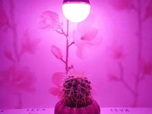لامپ ال ای دی رشد گیاه 7 وات فول اسپکتروم مدل V07 لوا در شیپور