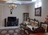 فروش آپارتمان 81 متر در پیروزی کریمشاهیان در شیپور-عکس کوچک