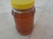 فروش انواع عسل طبیعی در شیپور-عکس کوچک