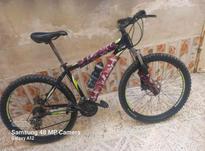 دوچرخه سالمه در شیپور-عکس کوچک