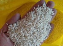 برنج طارم هاشمی درجه 1 در شیپور-عکس کوچک