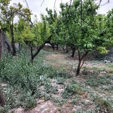 فروش باغچه سند دار 400 متر در شهریار