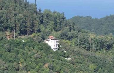 فروش زمین مسکونی 2500 متری در ارتفاعات رامسر