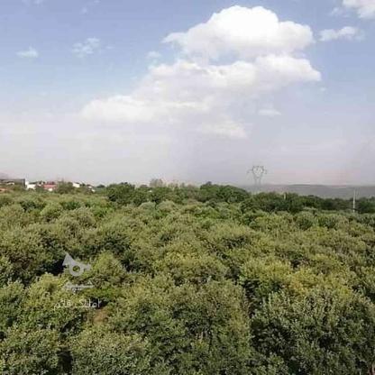 فروش زمین کشاورزی 500متری در گروه خرید و فروش املاک در تهران در شیپور-عکس1