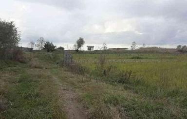 زمین مسکونی 500 متری در ساحل رامدشت رودسر