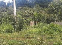 فروش زمین 300 متر در روستا خشکرود شهسوار در شیپور-عکس کوچک