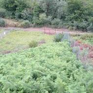 زمین مسکونی 685 متری در حیران روستای چملر