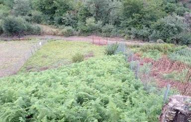 زمین مسکونی 685 متری در حیران روستای چملر