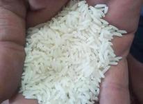 فروش برنج طارم اصل در شیپور-عکس کوچک