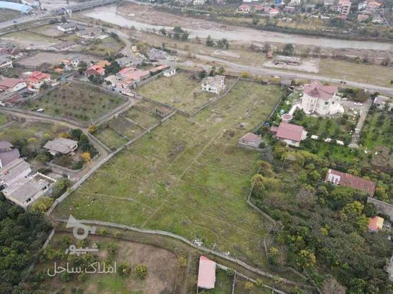 زمین قطعه بندی شده با مجوز ساخت 8600متر در گروه خرید و فروش املاک در مازندران در شیپور-عکس1