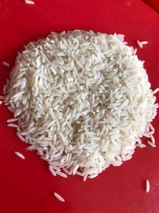 برنج فجر اعلا درجه یک در گروه خرید و فروش خدمات و کسب و کار در مازندران در شیپور-عکس1