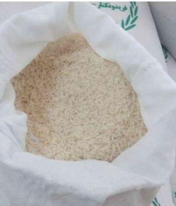 پخش برنج طارم درجه یک ارسال ب همه جا در گروه خرید و فروش خدمات و کسب و کار در مازندران در شیپور-عکس1