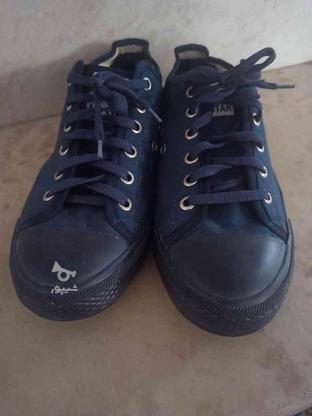 کفش کتانی پسرانه شیک سایز40 در گروه خرید و فروش لوازم شخصی در آذربایجان شرقی در شیپور-عکس1