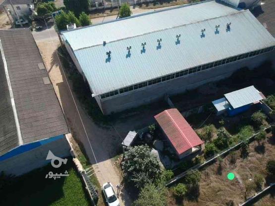 260 متر زمین در شهرک صنعتی قائم شهر در گروه خرید و فروش املاک در مازندران در شیپور-عکس1