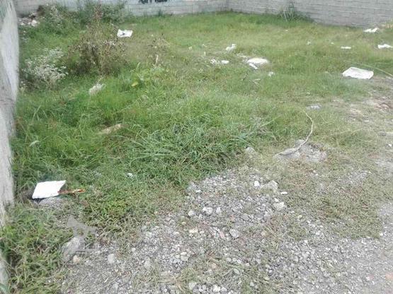 زمین 260 متر در بلوار ذوالفقاری در گروه خرید و فروش املاک در مازندران در شیپور-عکس1