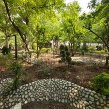 فروش زمین 1000 متر در کردان