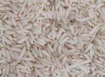 برنج طارم اصل در شیپور-عکس کوچک